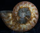 Wide Split Ammonite Pair - Agatized #7226-1